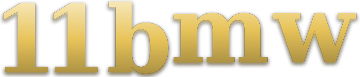 11 bmw logo